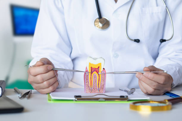 Best Emergency Orthodontic Repairs in Greybull, WY